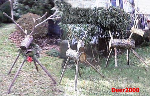 Image 1 of 12  -  61 kB